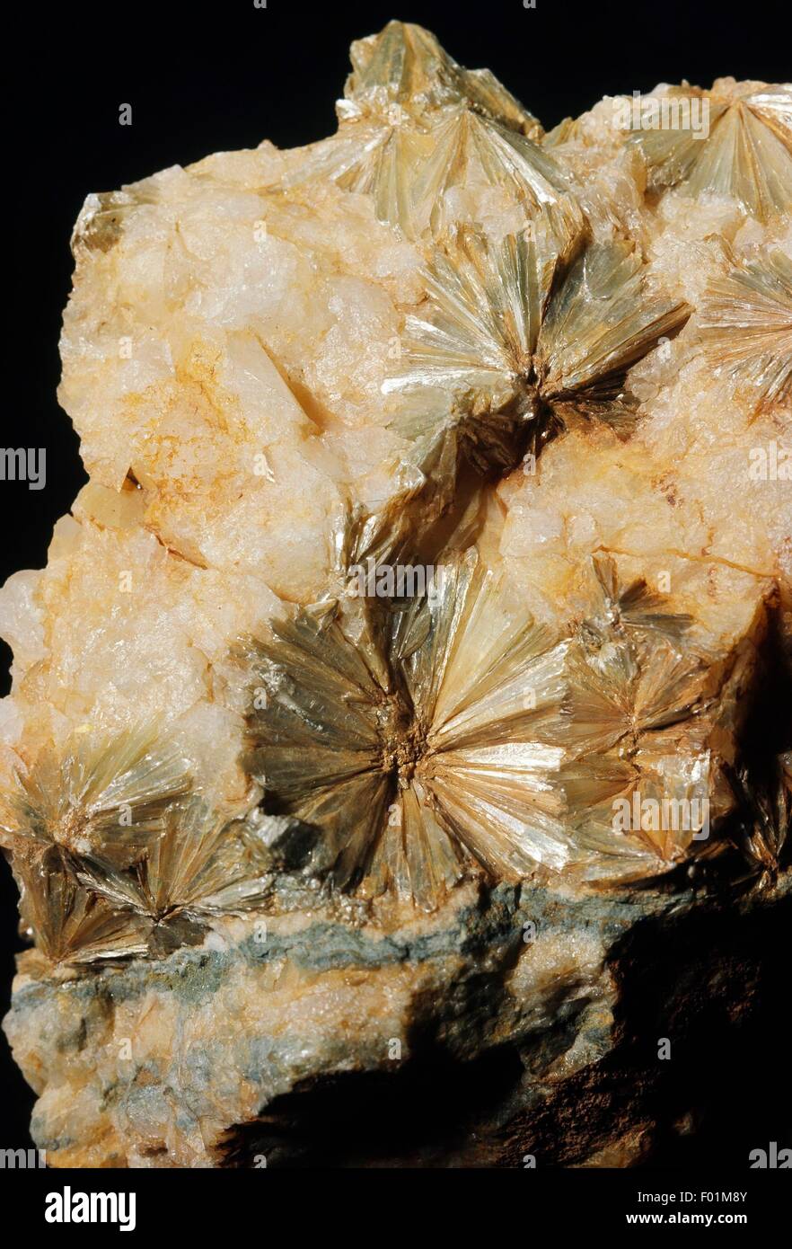 Acicular crystals of Pyrophyllite, silicate. Stock Photo