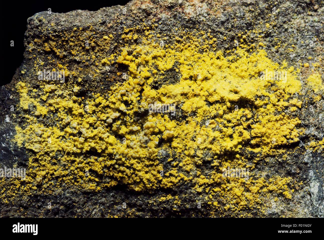 Uranopilite, sulphate, radioactive mineral. Stock Photo