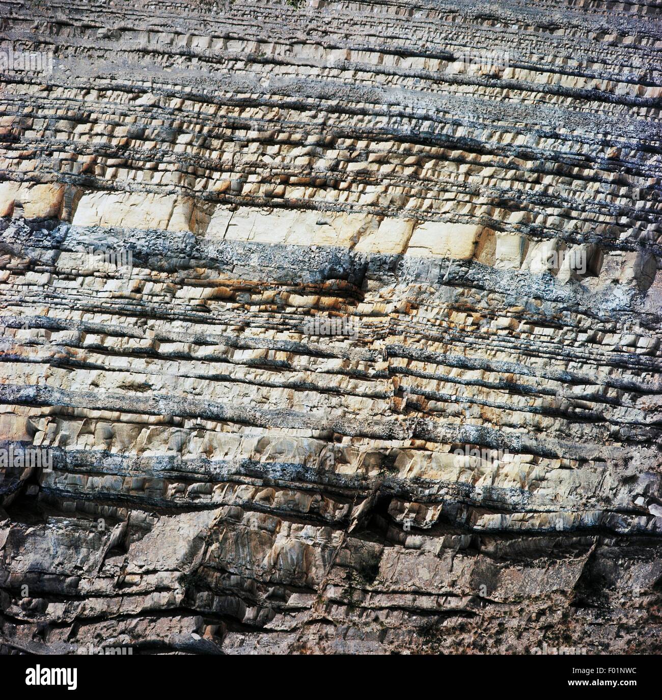 Horizontal layers of compact sandstone along Santerno river, Cognale, Tuscany, Italy. Stock Photo