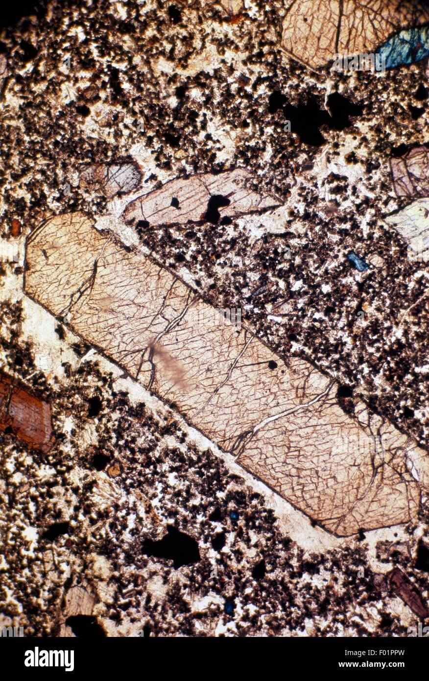 Basal section of pyroxene, using parallel Nicols. Stock Photo