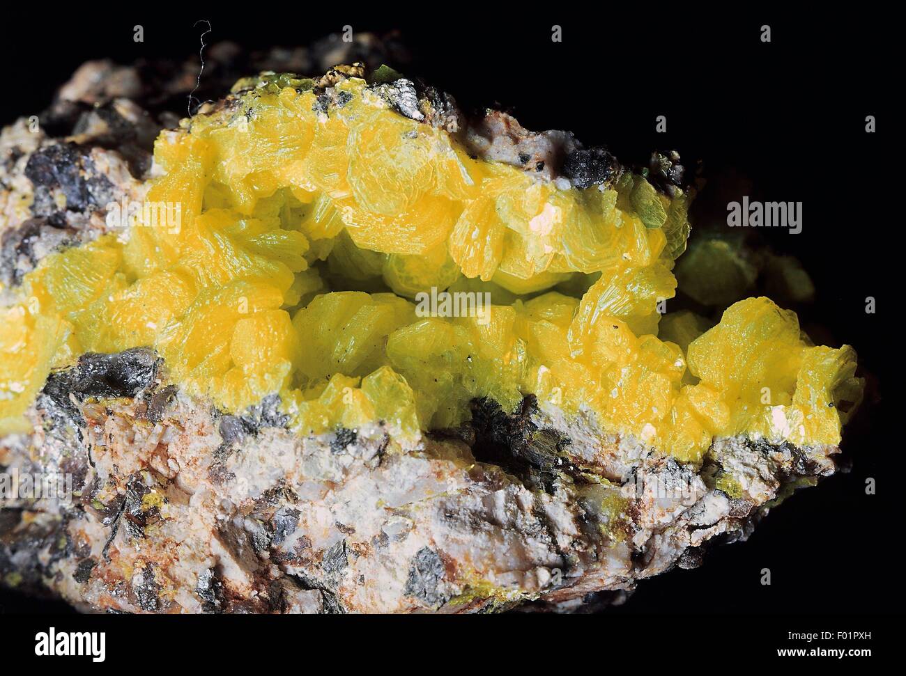 Autunite, phosphate, radioactive mineral Stock Photo Alamy