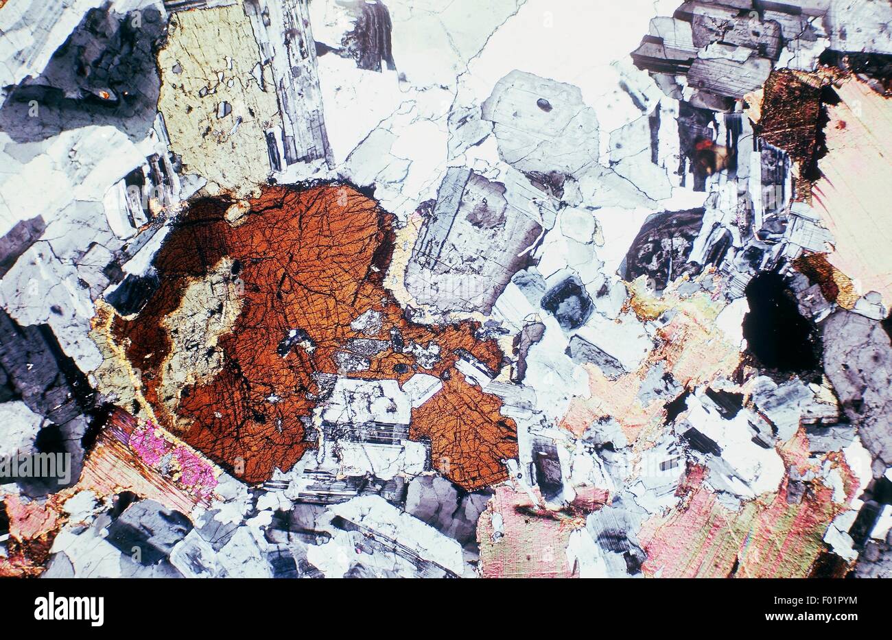 Tonalite, holocrystalline magmatic rock, thin section, using crossed Nicols, x19x1,5. Stock Photo