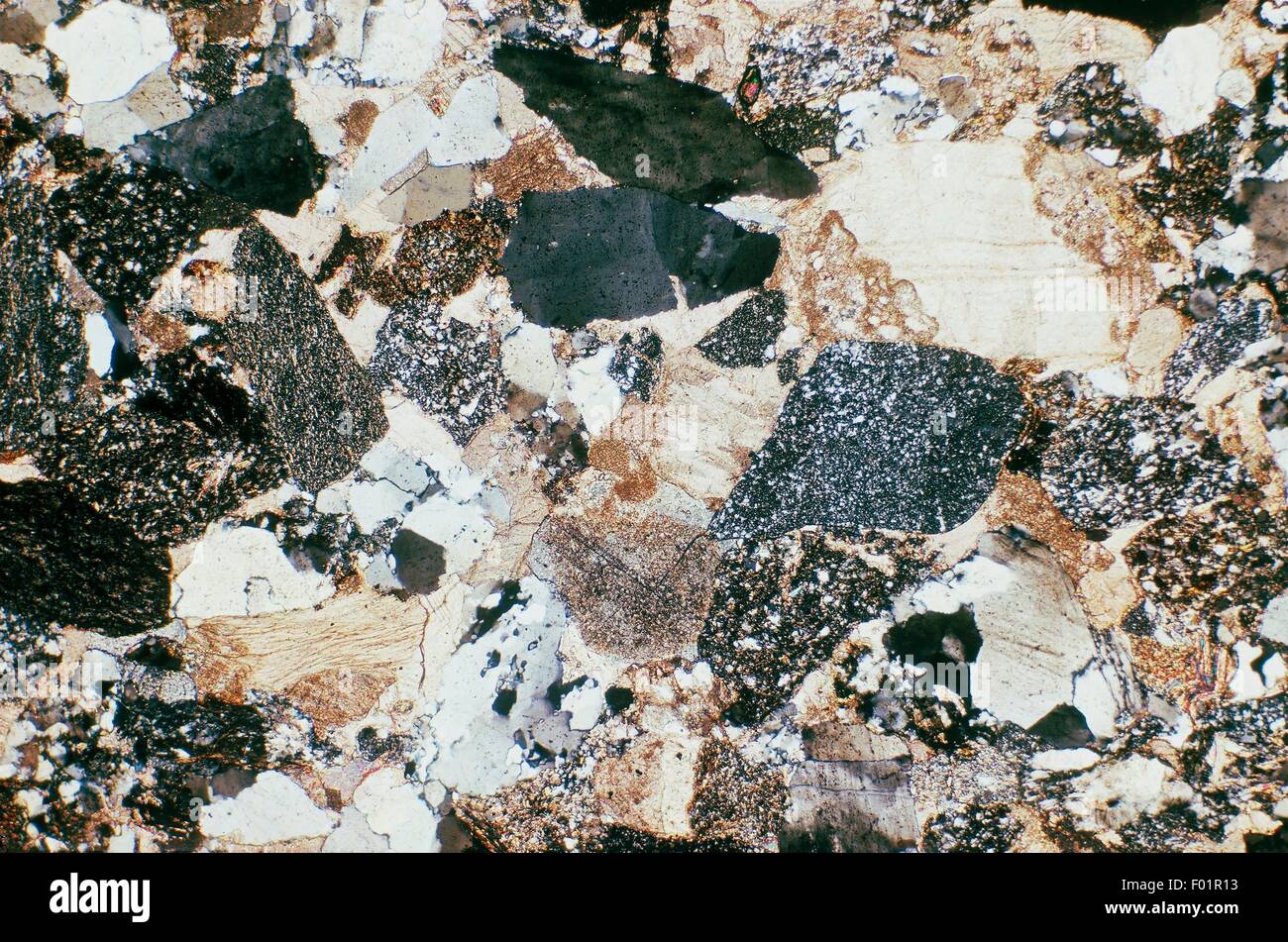 Cretaceous sandstone, thin section using crossed nicols, x27x1.3. Stock Photo