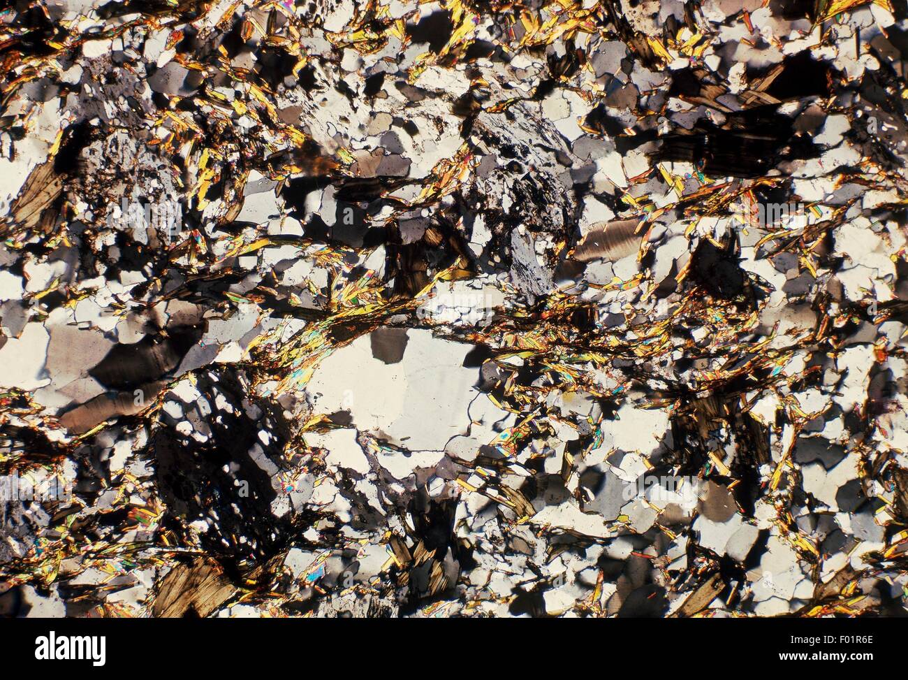 Sandstone Paragneiss, metamorphic rock, from Valle Germanasca (Piedmont, Italy), thin section, using crossed Nicols, x37x1,3. Stock Photo
