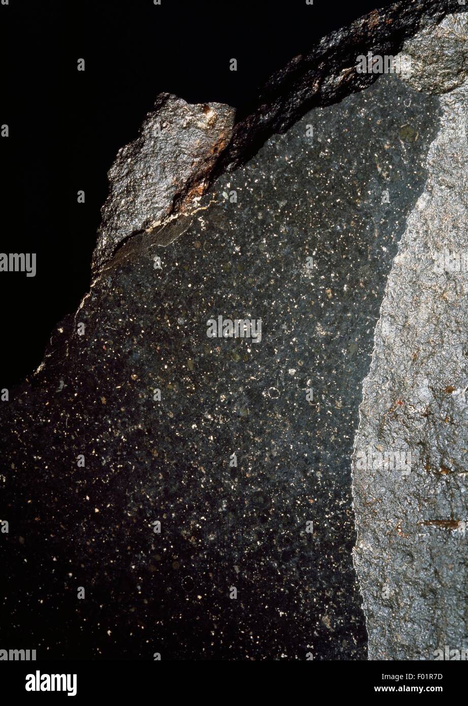 Chondrite, stony meteorite, from McKinney (Texas, United States). Stock Photo