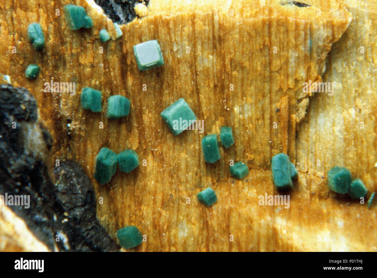 Torbernite, phosphate, radioactive mineral Stock Photo Alamy