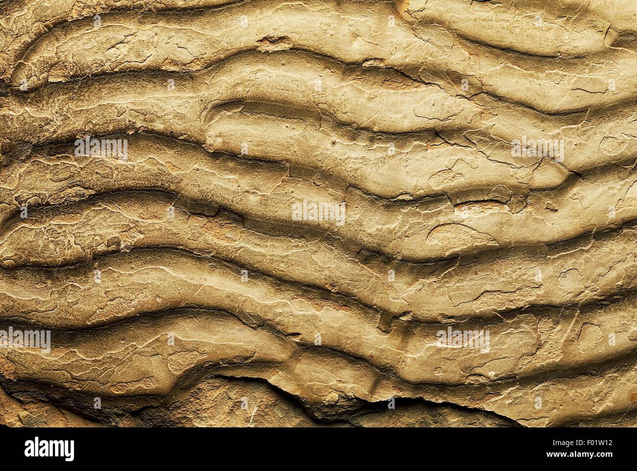 Ripple marks, sedimentary structures formed by water (current or waves) or wind. Stock Photo
