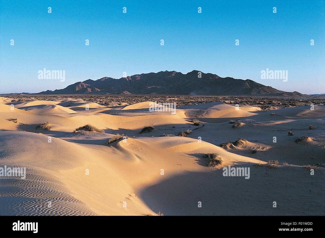 Mexico - State of Chihuahua. Desert dunes Stock Photo - Alamy