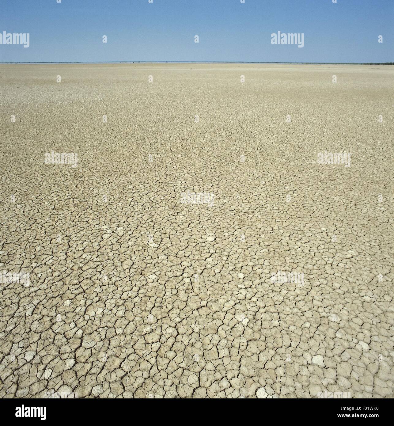 South Australia, dried Lake Eyre Stock Photo