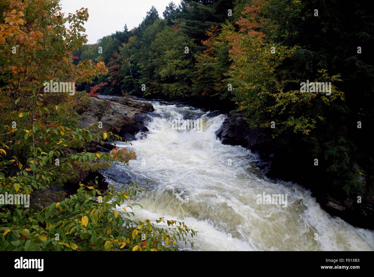 Oxtongue River, Algonquin Provincial Park, Ontario, Canada Stock Photo ...
