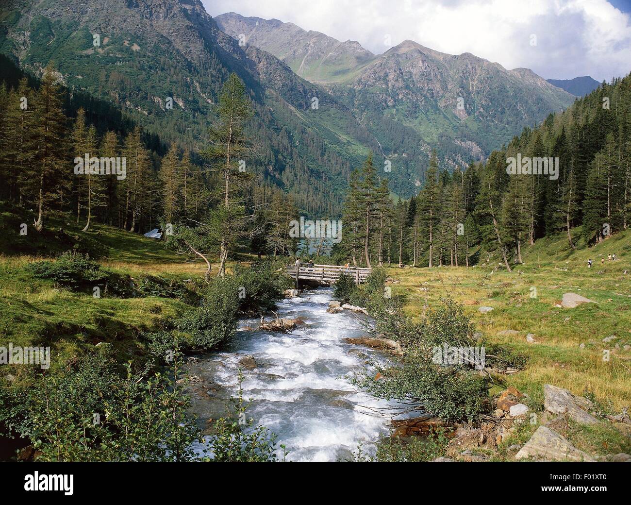 Noce River where it flows out of Lake Pian Palu, Pejo Valley, Stelvio National Park, Trentino-Alto Adige, Italy. Stock Photo