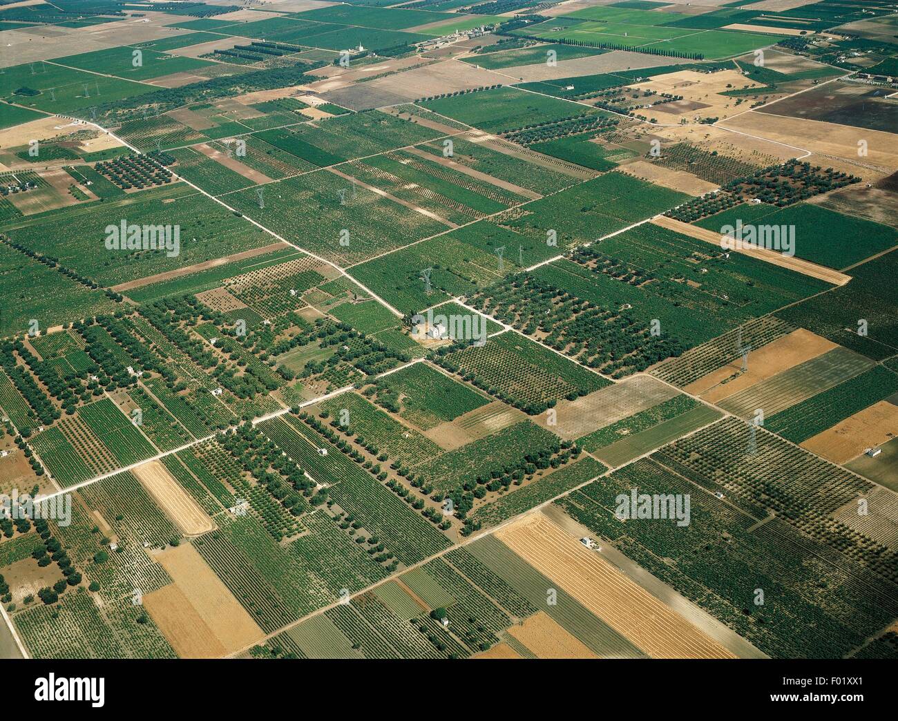 Aerial view of the Tavoliere delle Puglie plain - Apulia Region, Italy Stock Photo