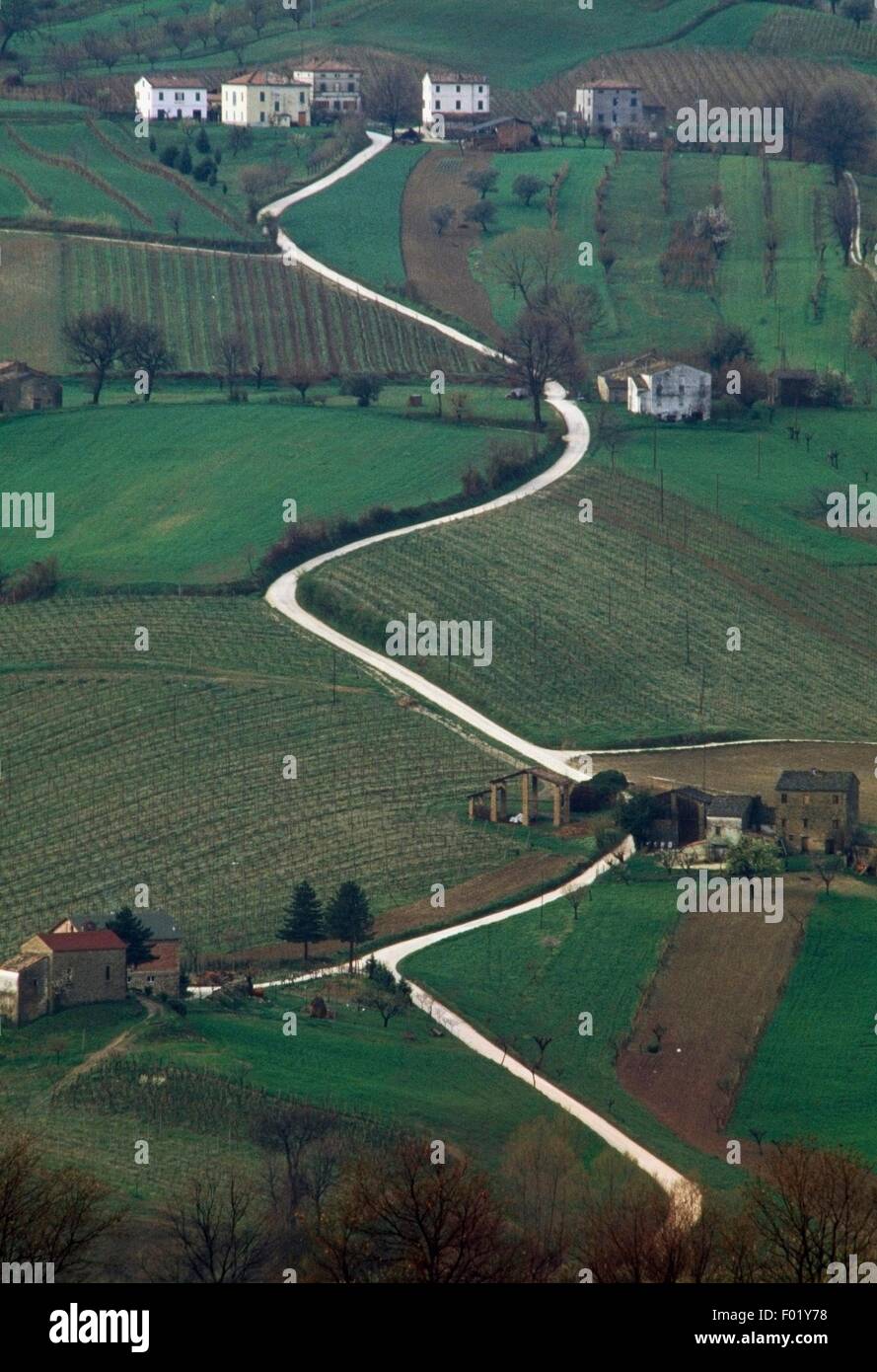 Country road, Cupramontana, Marche, Italy. Stock Photo