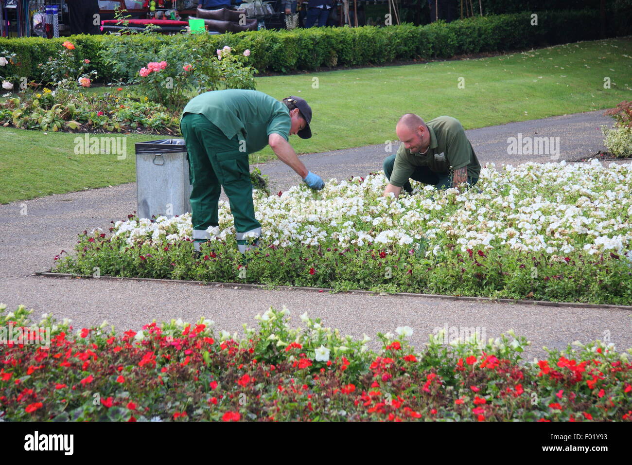 Council workers tend to flower beds in public formal gardens in Hall Leys Park, Matlock, Derbyshire England UK Stock Photo