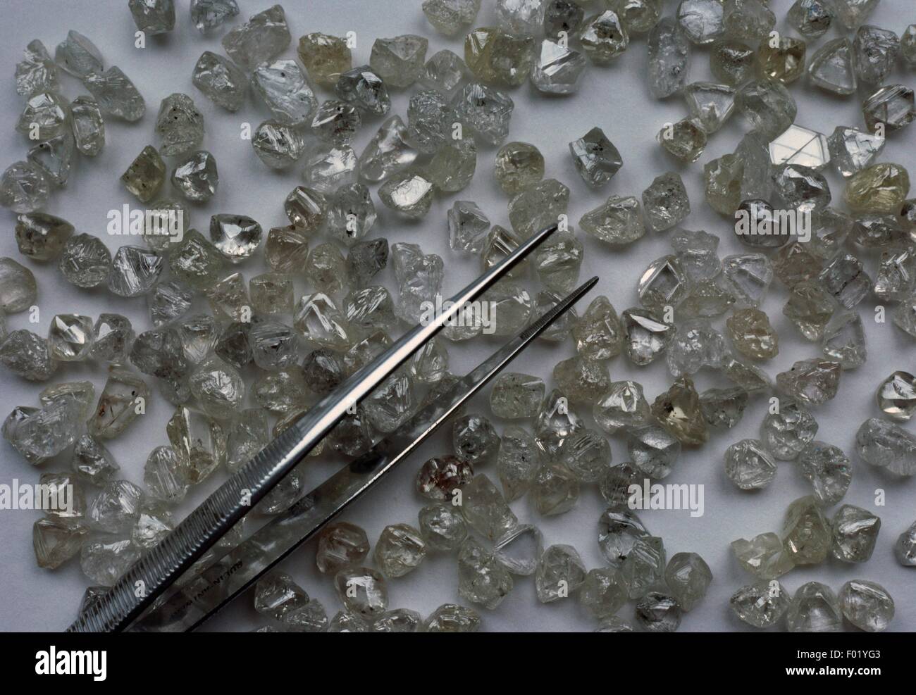 Rough diamonds, Antwerp, Belgium Stock Photo Alamy