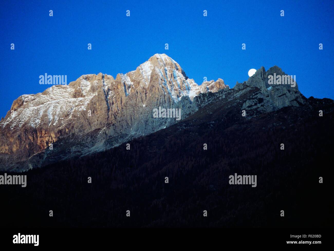 Mount Agner and the Costa dei Larici, Pala Group, Dolomites (UNESCO World Heritage List, 2009), Veneto, Italy. Stock Photo