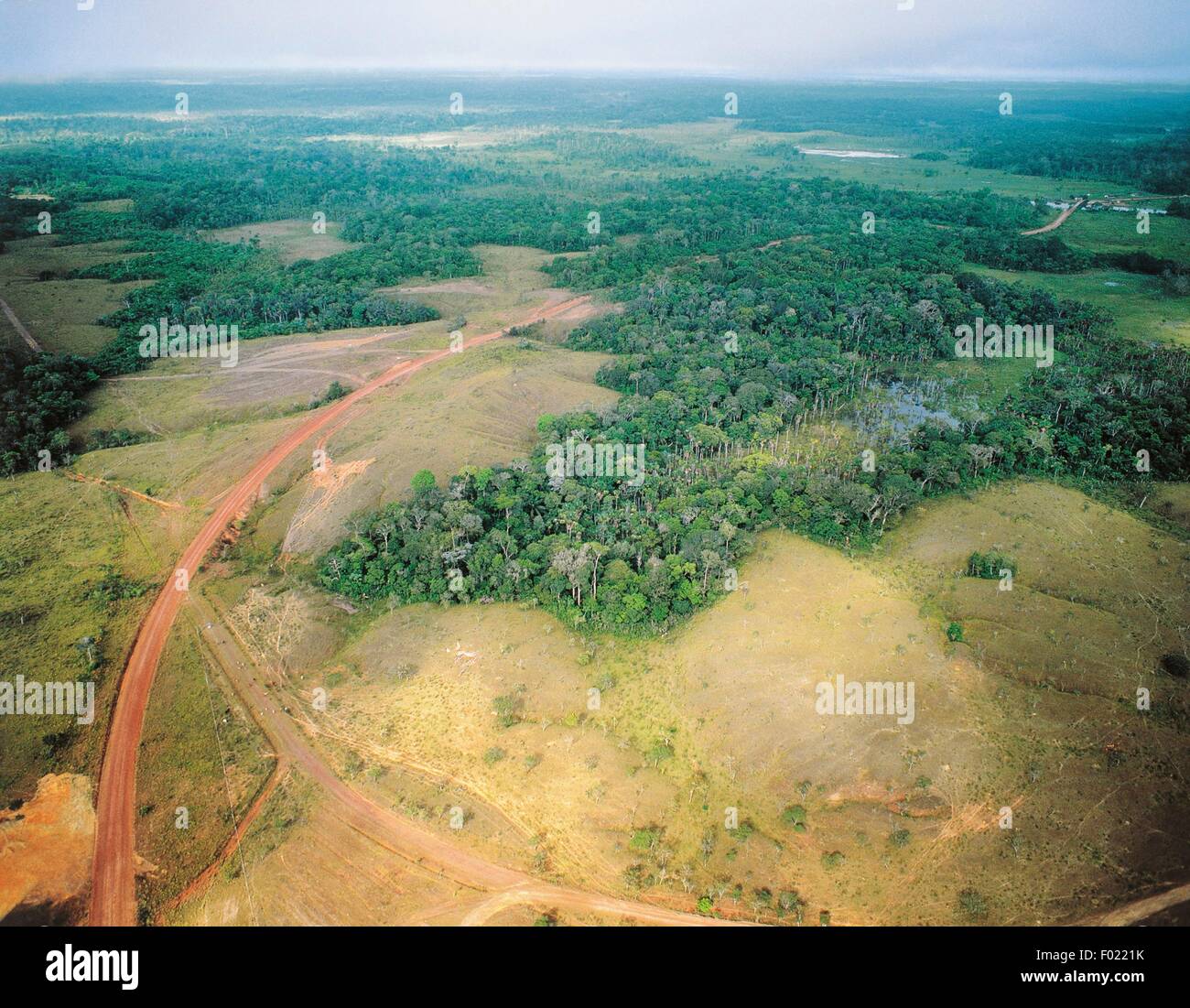 Deforestation for agricultural purposes, State of Amapa, Brazil. Stock Photo