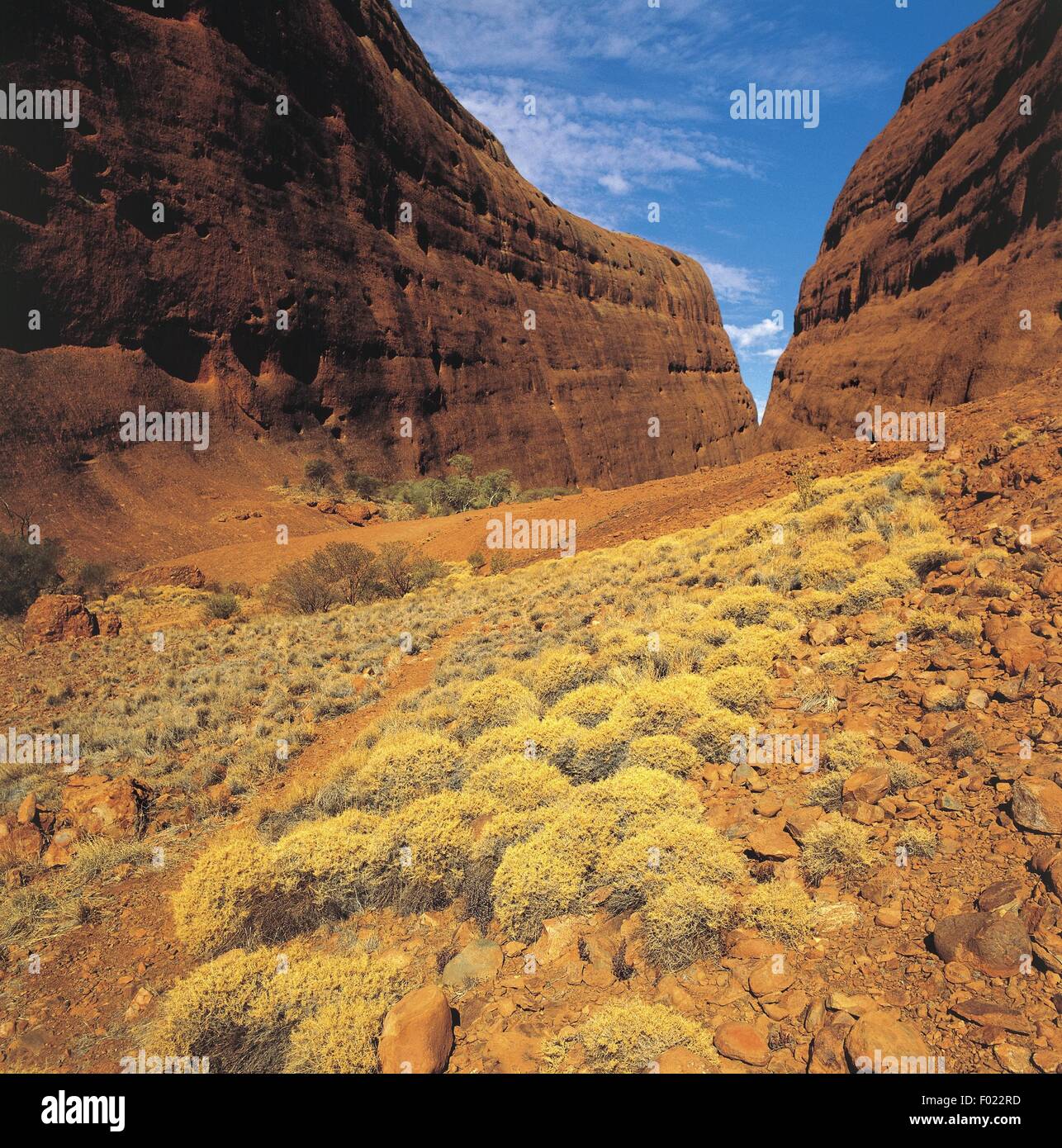 Narrung Australia - Western Australia - Narrogin landscape Stock Photo - Alamy