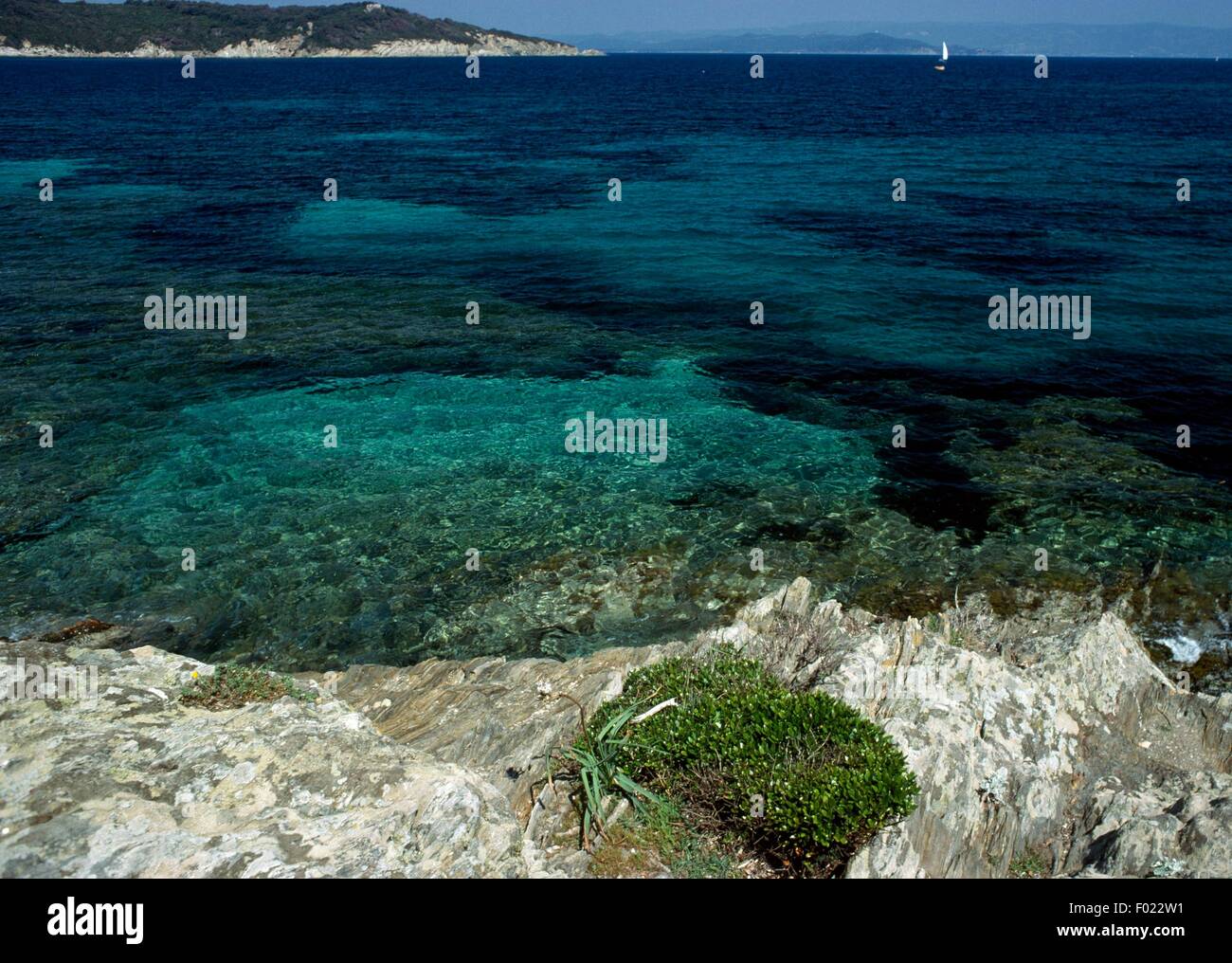 A glimpse of Port-Cros National Park, France. Stock Photo