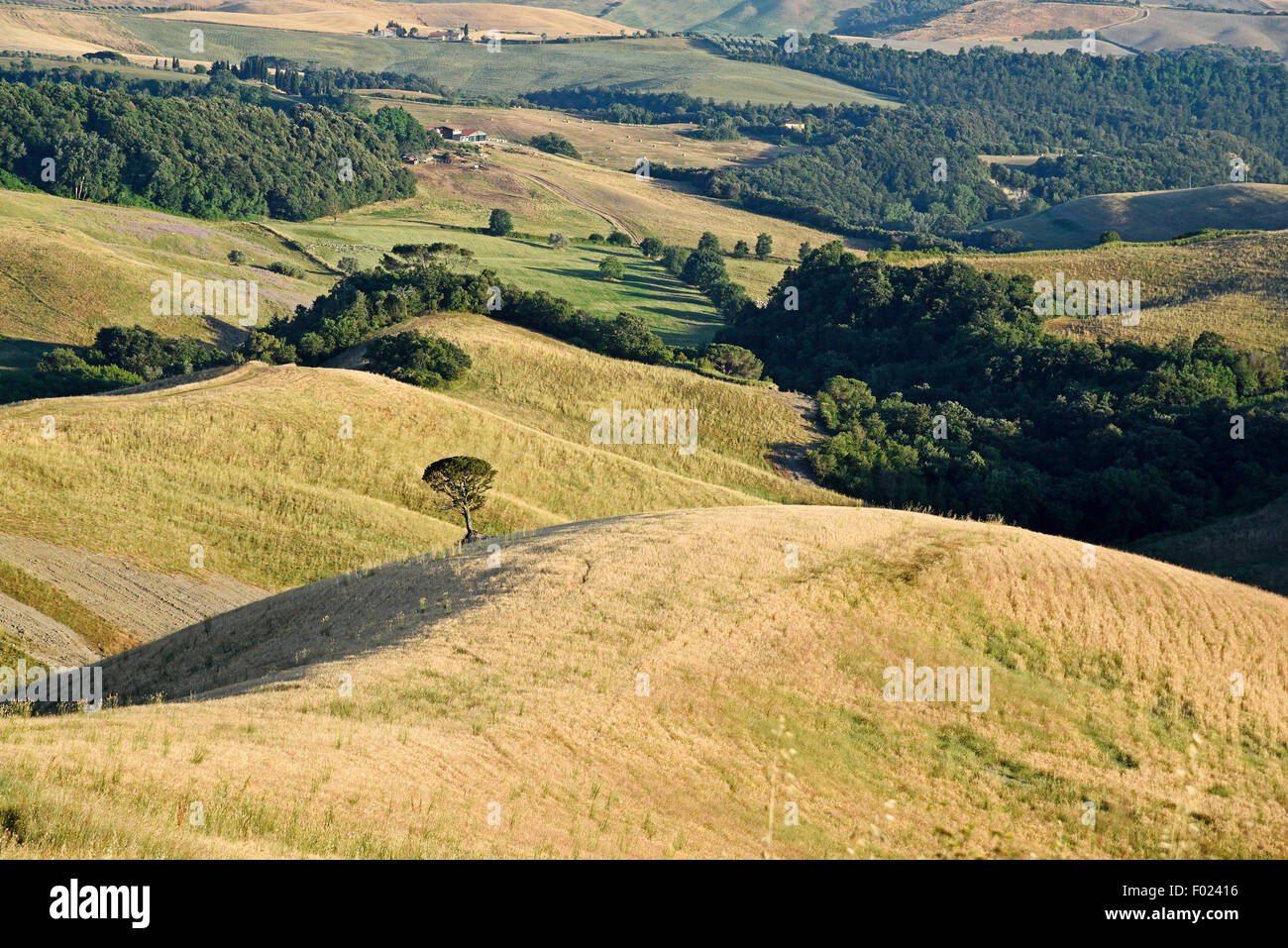 Landscape, Volterra, Province of Pisa, Tuscany, Italy Stock Photo