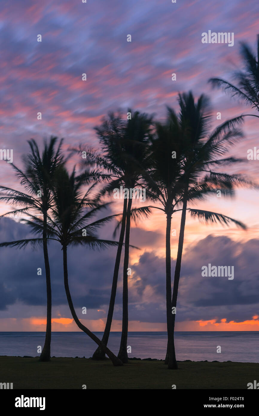 Sunrise at Kapaa Beach Park with Palm trees east coast Kauai, Hawaii