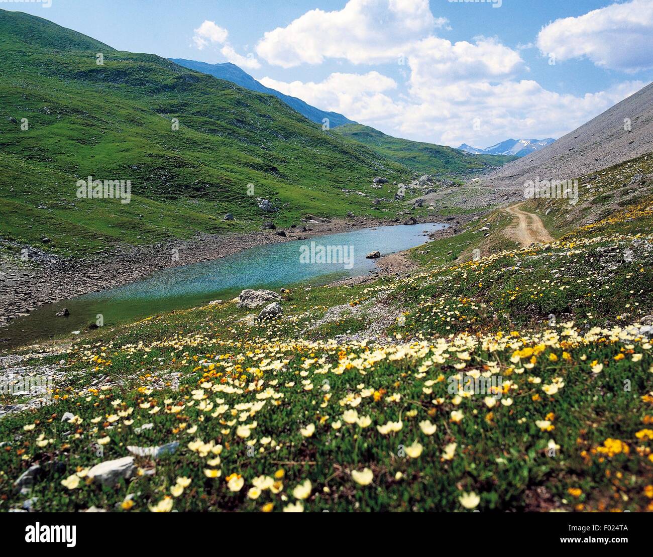 Springs of the Adda, Val Alpisella, Stelvio National Park, Lombardy, Italy. Stock Photo