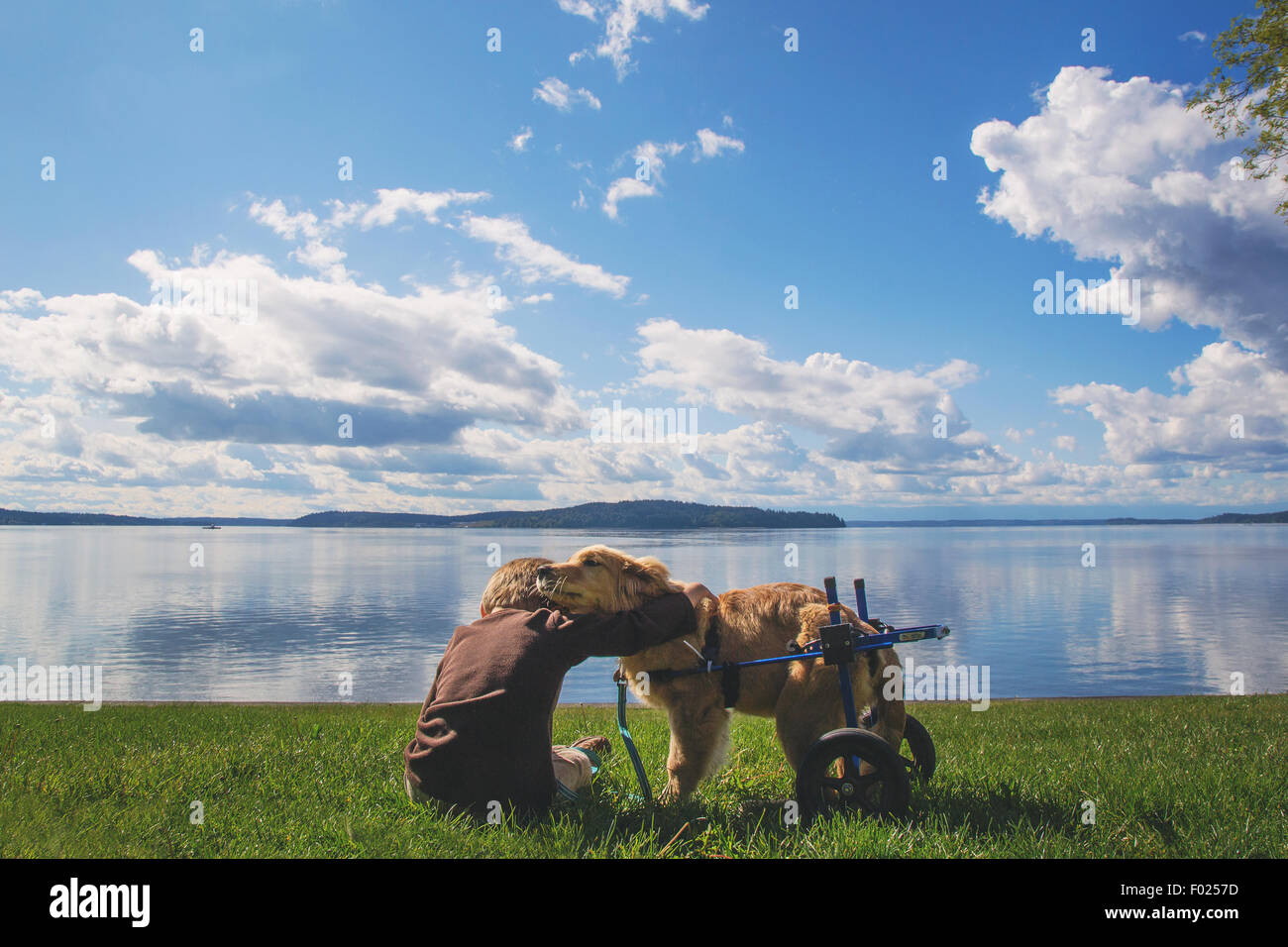 Boy sitting on grass hugging a disabled dog, USA Stock Photo Alamy
