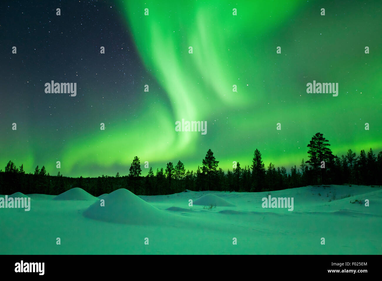 Spectacular aurora borealis (northern lights) over a snowy winter landscape in Finnish Lapland. Stock Photo