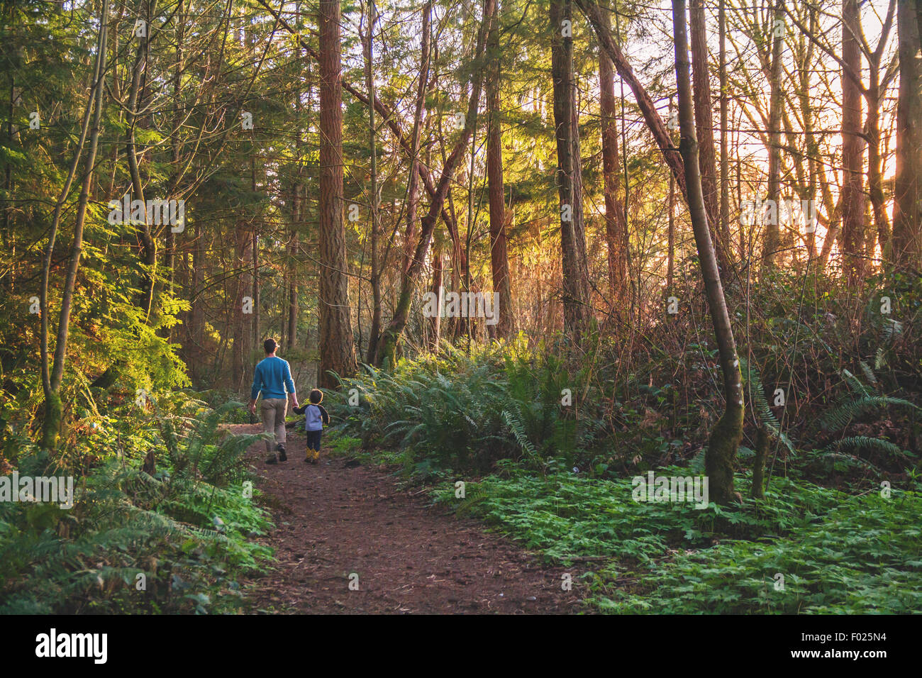 Father and son walking in the woods Stock Photo