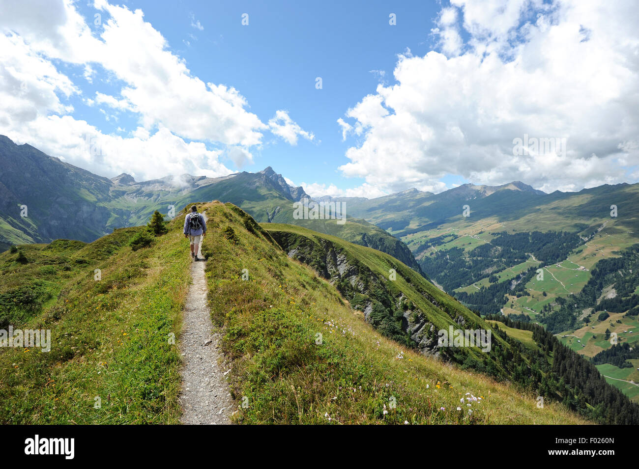 Hiker on the Glaser Grat  in the swiss alps canton Graubuenden. Stock Photo
