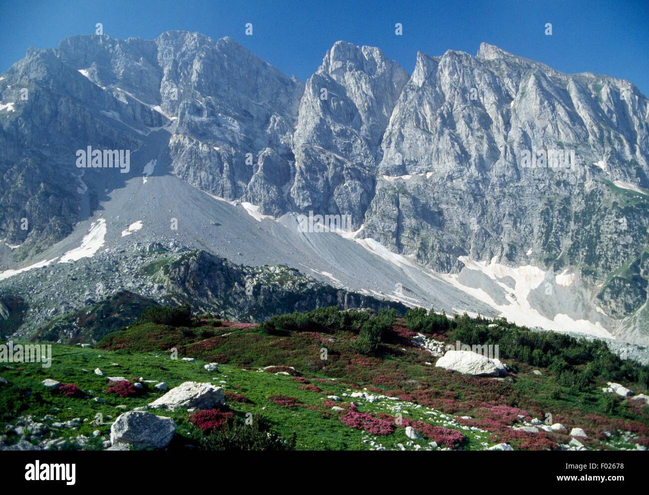 Marguareis Group, Upper Valle Pesio, Natural Park of the Marguareis Massif,  Piedmont, Italy Stock Photo - Alamy