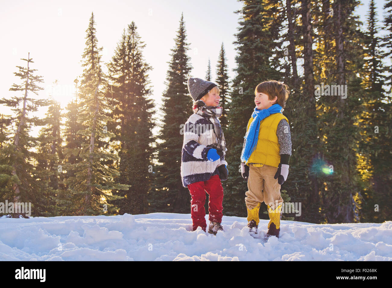 Two young boys laughing in the snow, trees in the background Stock Photo