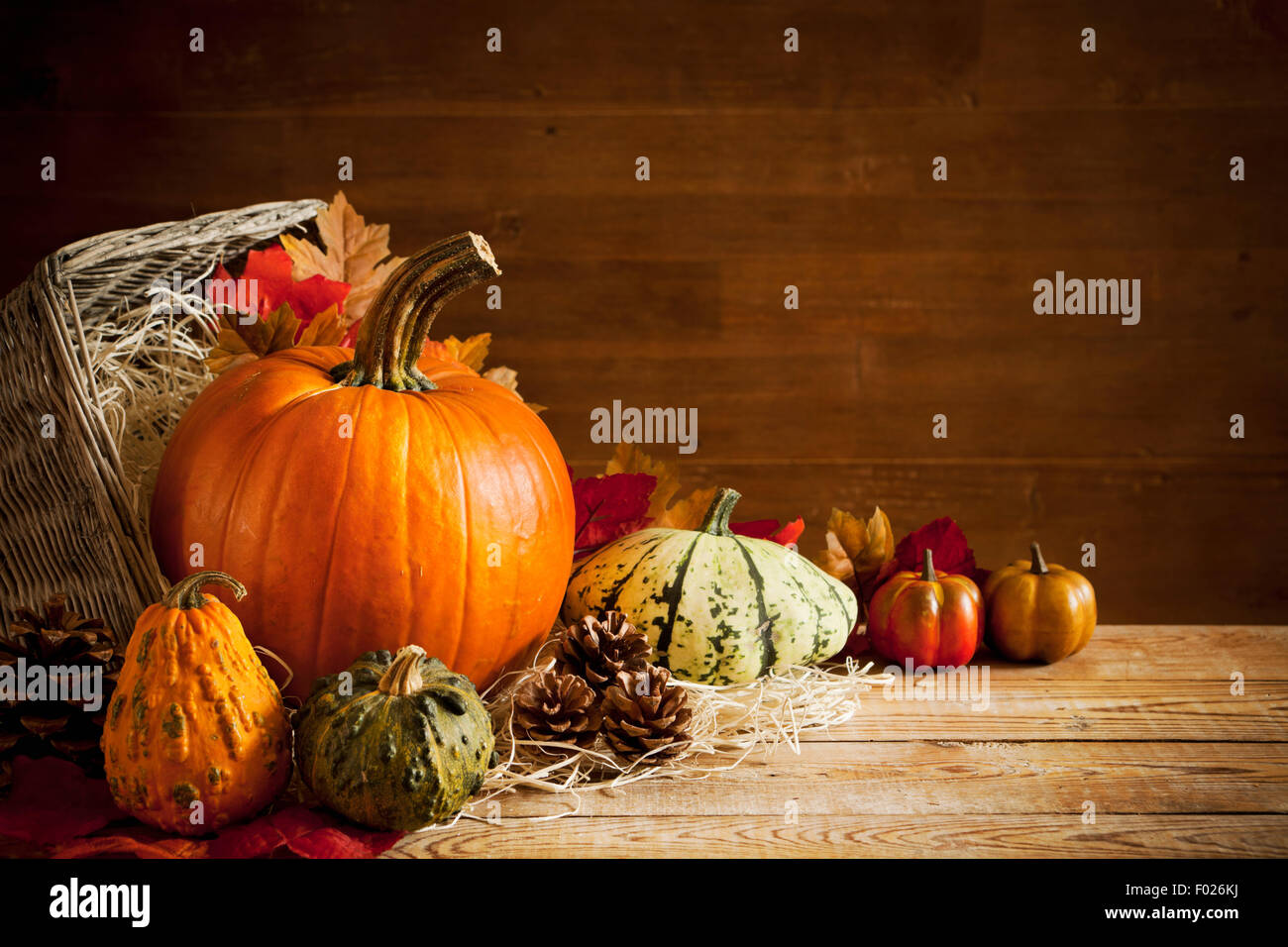 A rustic autumn still life with pumpkins and a basket on a wooden table ...