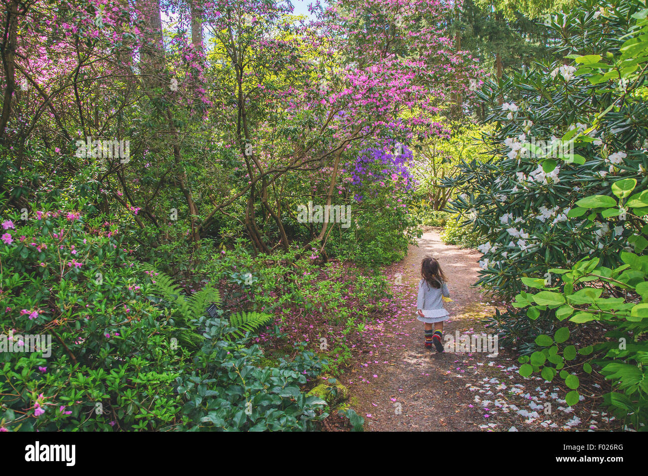 Rear view of a Young girl running along a path Stock Photo