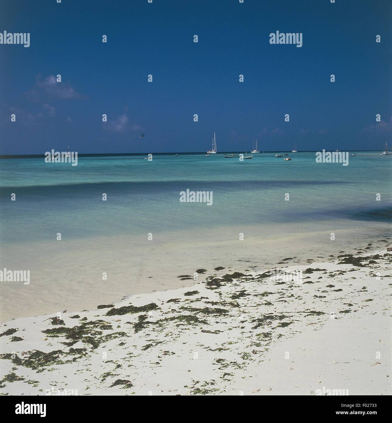 Venezuela, Los Roques archipelago National Park, beach in Gran Roque ...