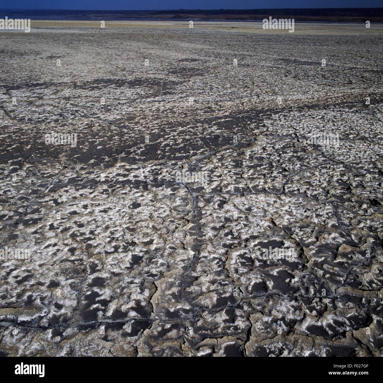 Salt deposits, Lake Abbe, dry lake, Great Rift Valley, Djibouti Stock