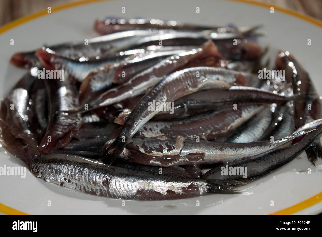 fresh anchovies of market of the mediterranean sea Stock Photo Alamy