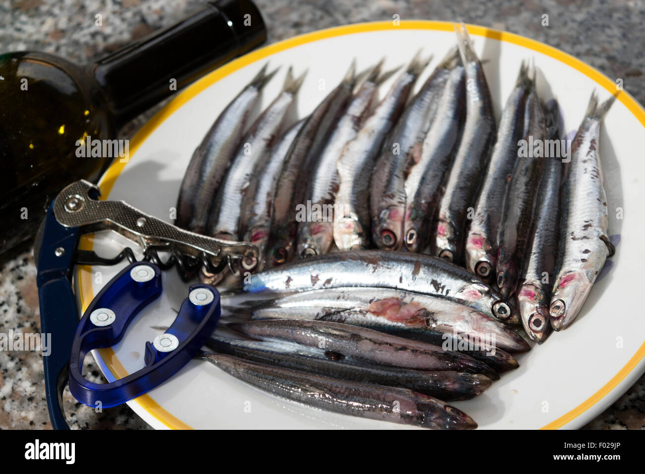 fresh anchovies of market of the mediterranean sea Stock Photo Alamy