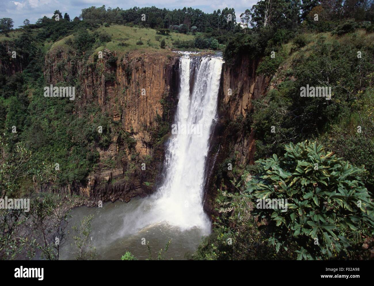 Howick Falls (100 m), Umgeni Valley Nature Reserve, KwaZulu-Natal Province, South Africa. Stock Photo