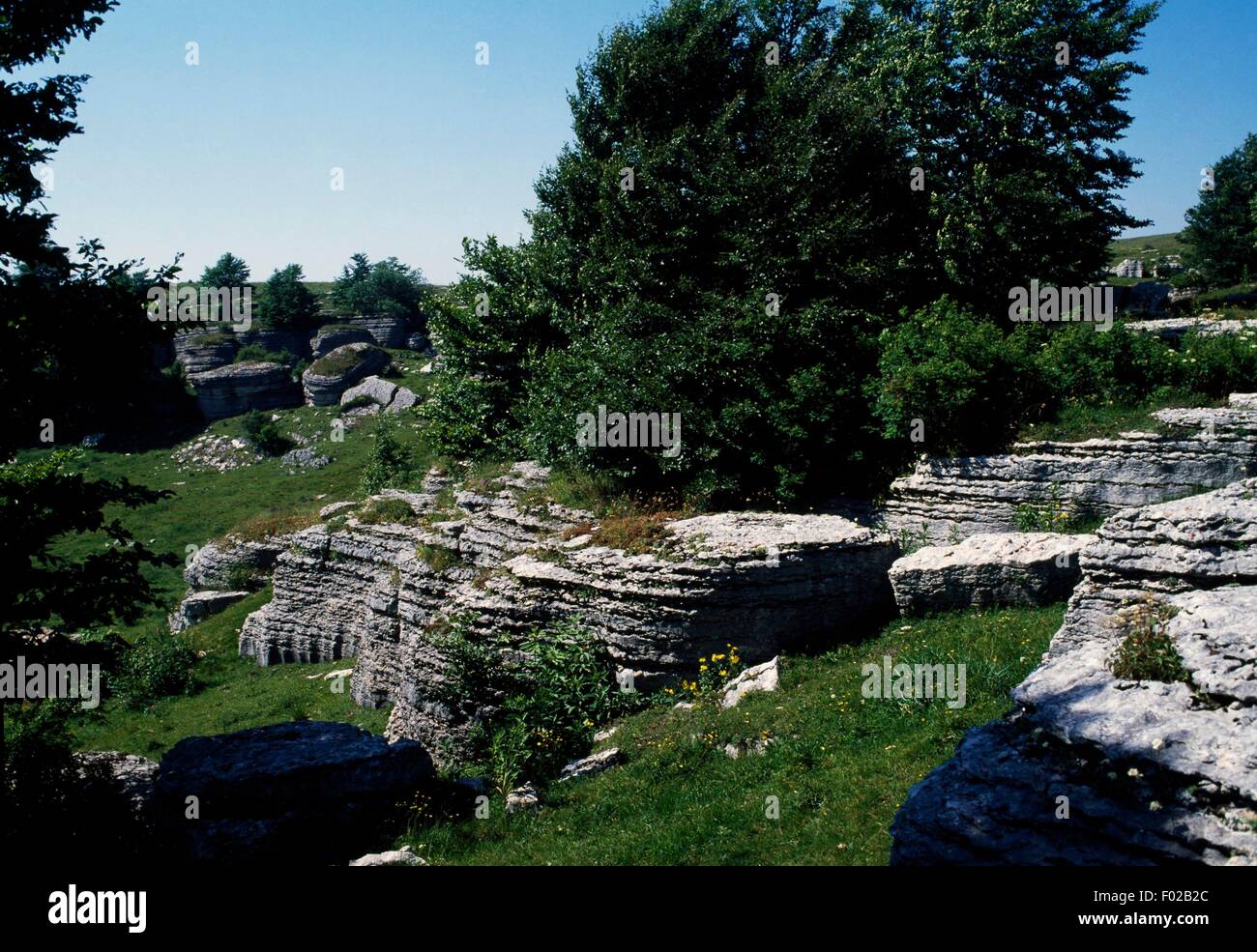 Karstification Examples Karstification hi-res stock photography and images - Alamy