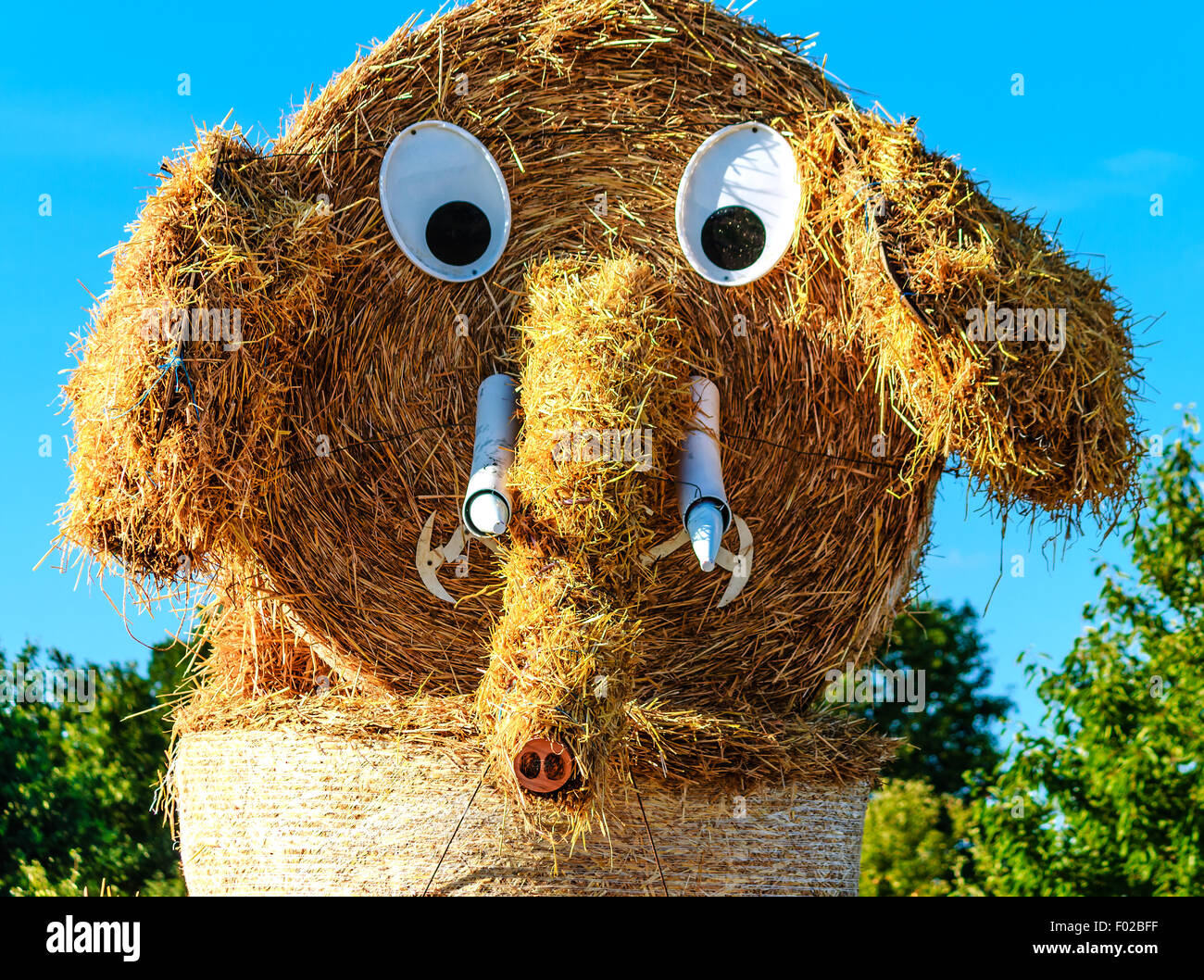 Straw puppet after grain harvest Stock Photo Alamy