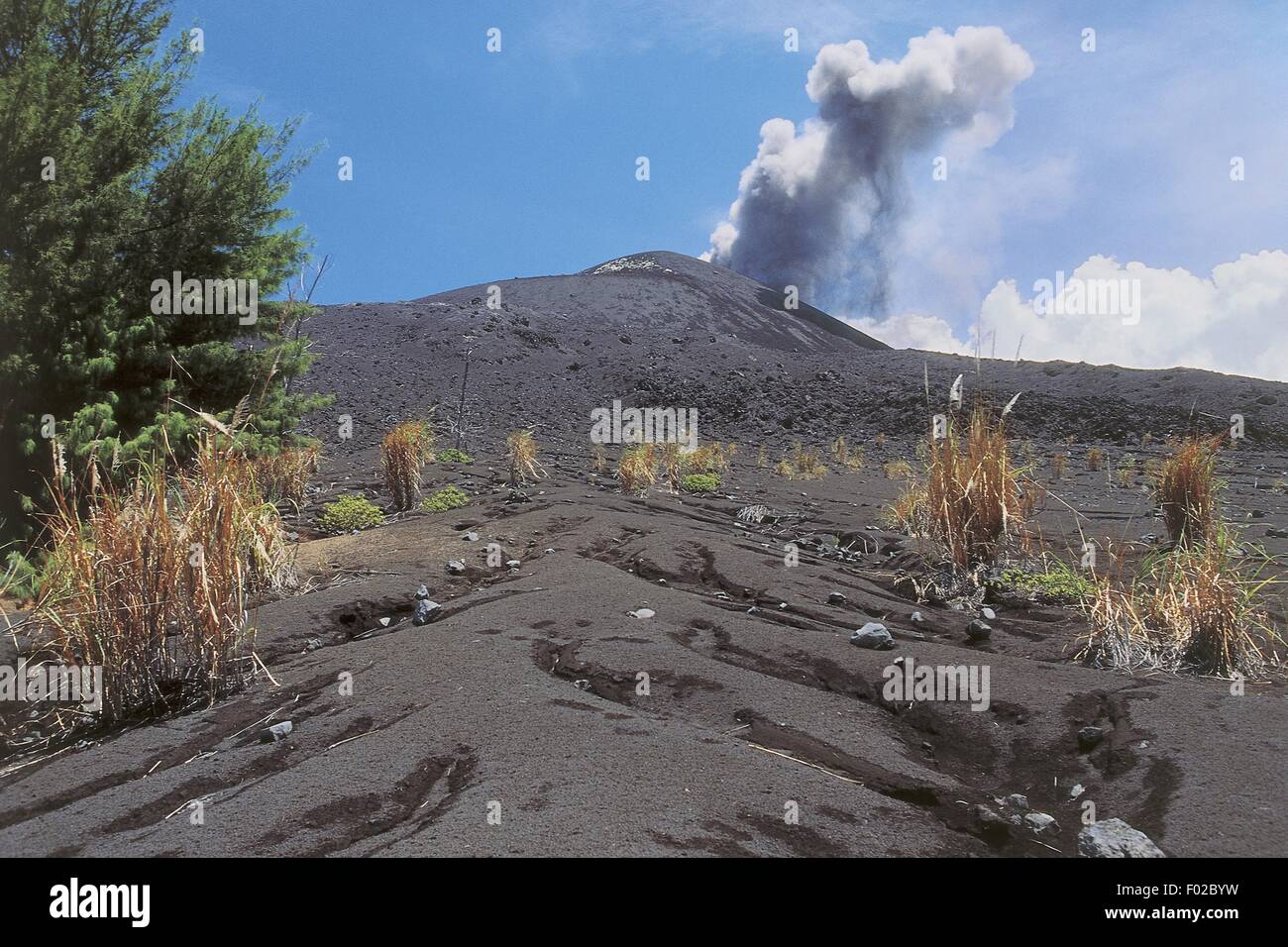 L'enfant de Krakatoa image stock. Image du fumée, volcan - 13530731