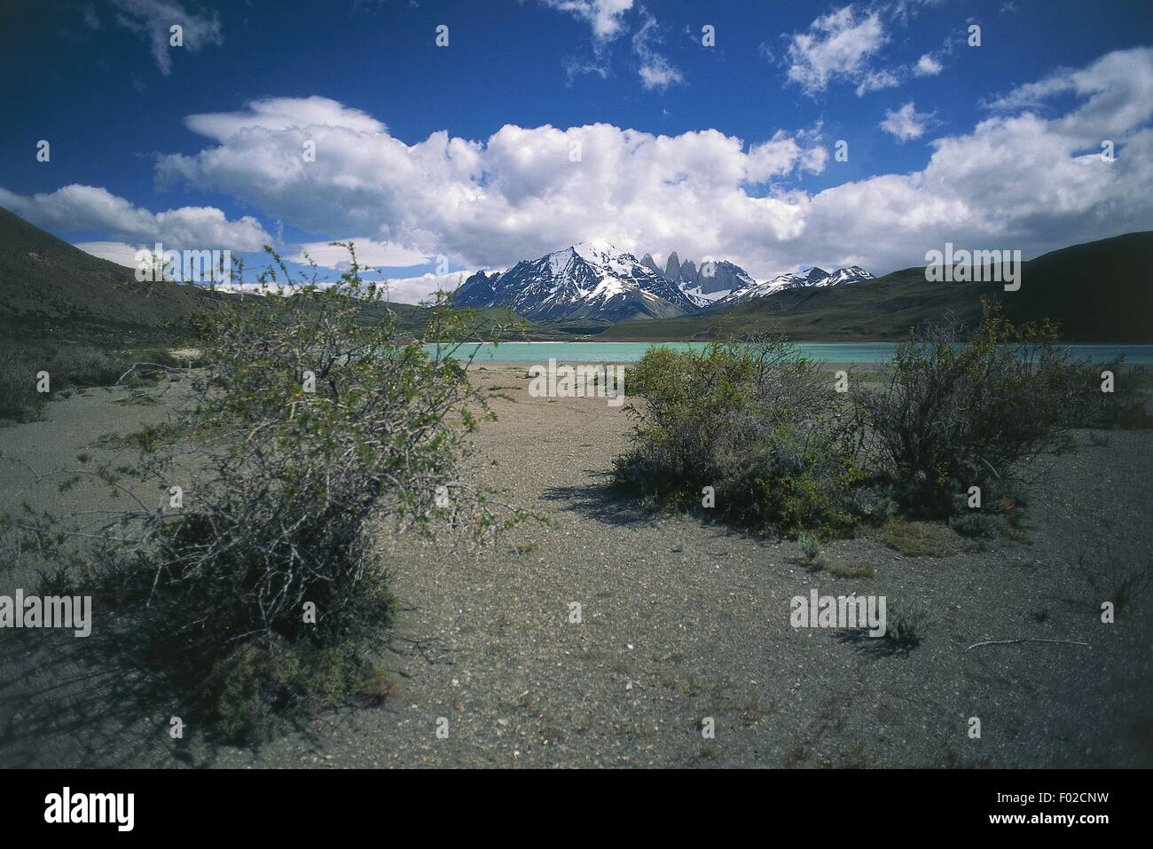 Chile, Patagonia, Magellane, Torres del Paine National Park, Laguna Amarga Stock Photo