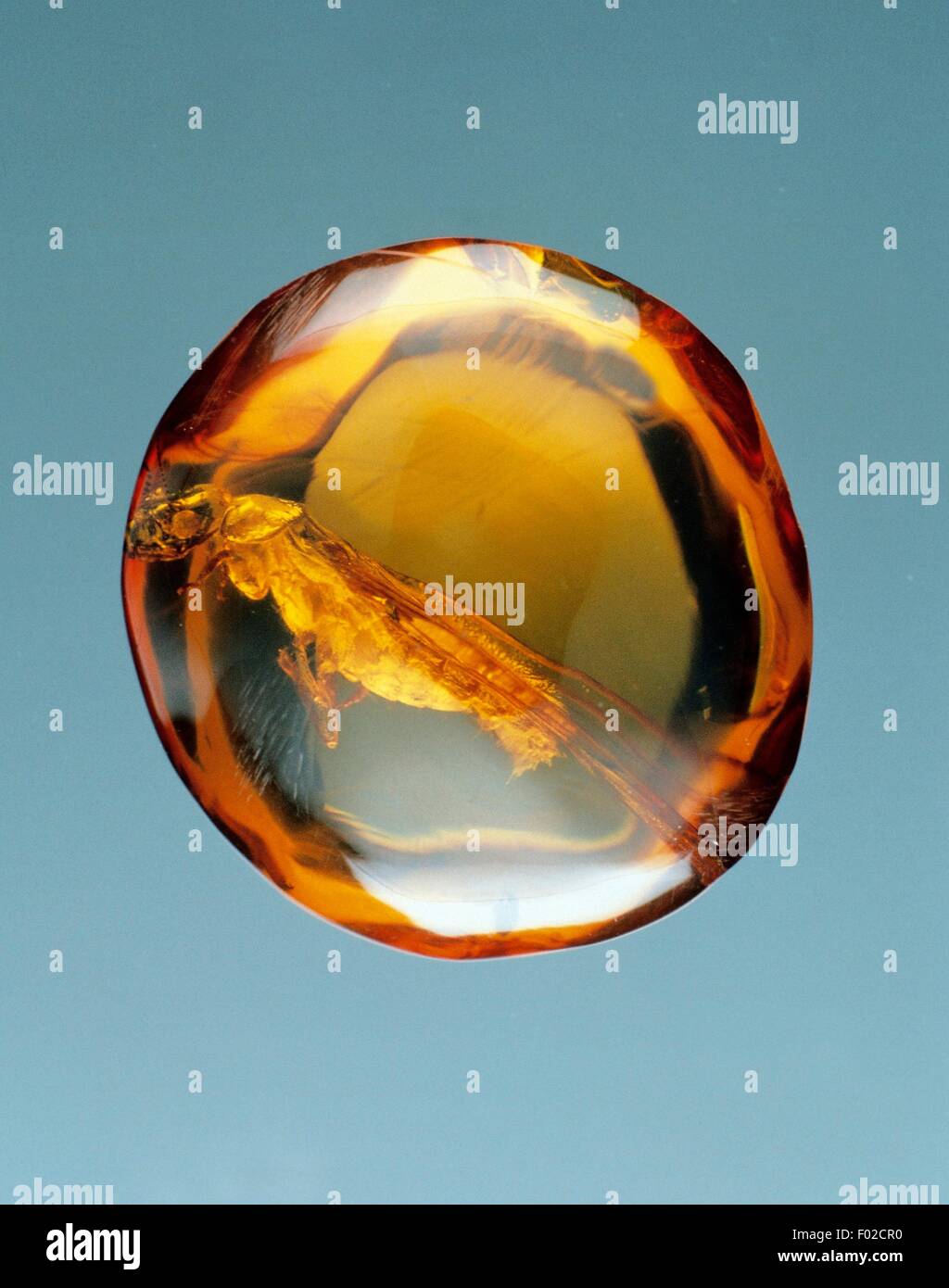 Contains Of Stock Photos Contains Of Stock Images Alamy