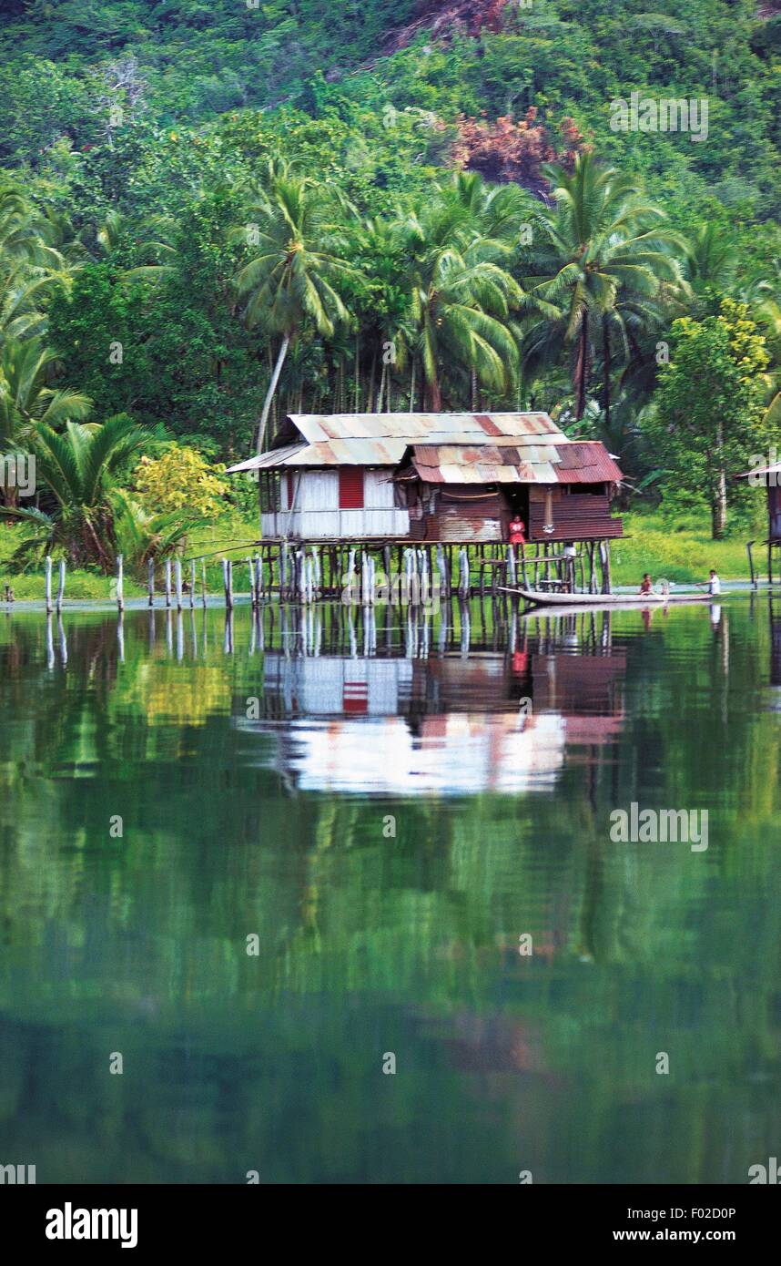 Papua New Guinea Tree House Stock Photos & Papua New Guinea Tree House ...