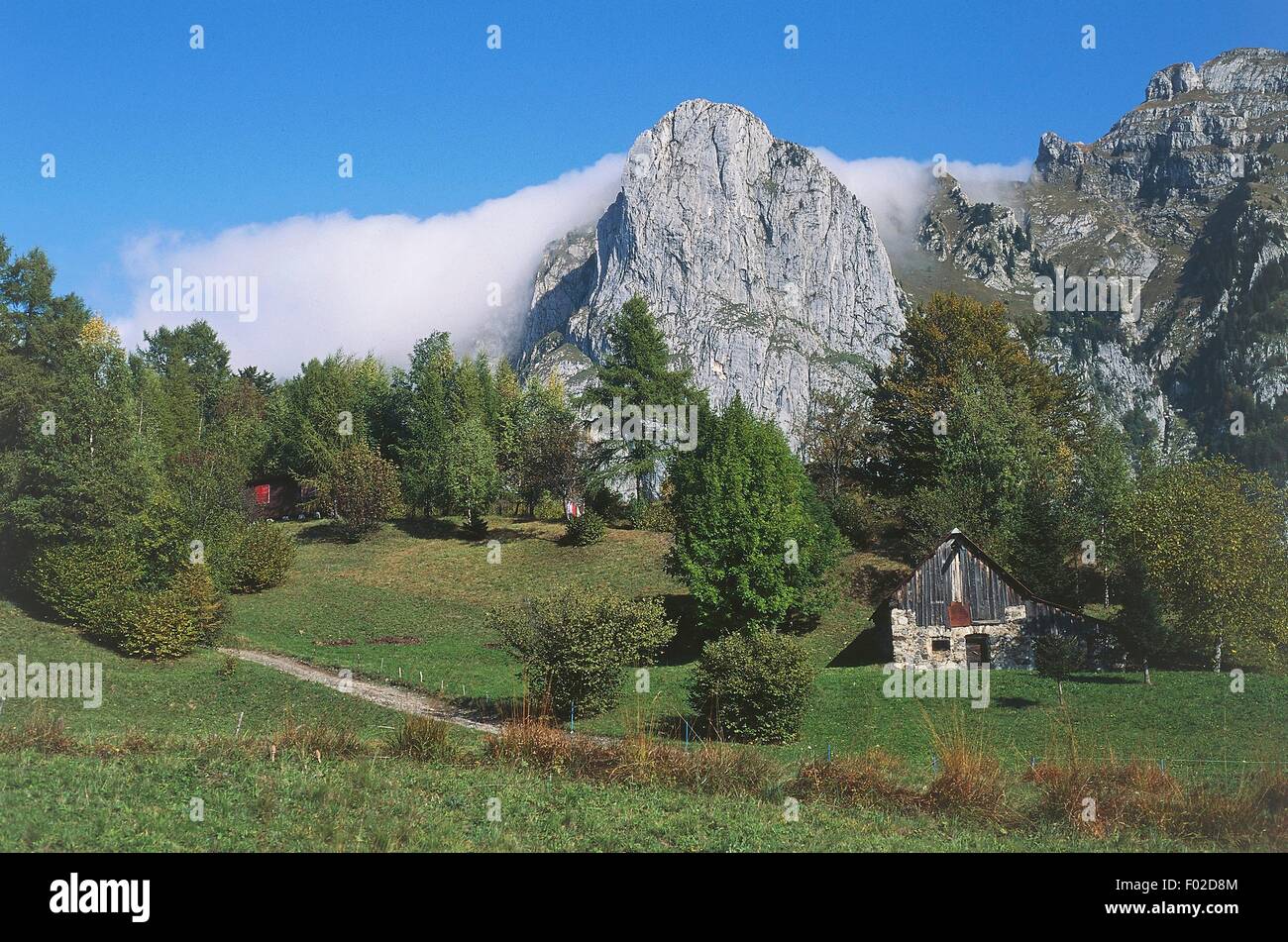 The Valle del But near Timau, with Monte Gamspitz in the background, Friuli-Venezia Giulia, Italy. Stock Photo