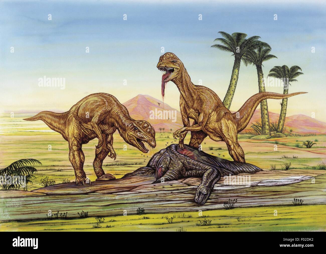 Palaeozoology - Jurassic period - Dinosaurs - Dilophosaurus - Art work by Neil  Lloyd Stock Photo - Alamy
