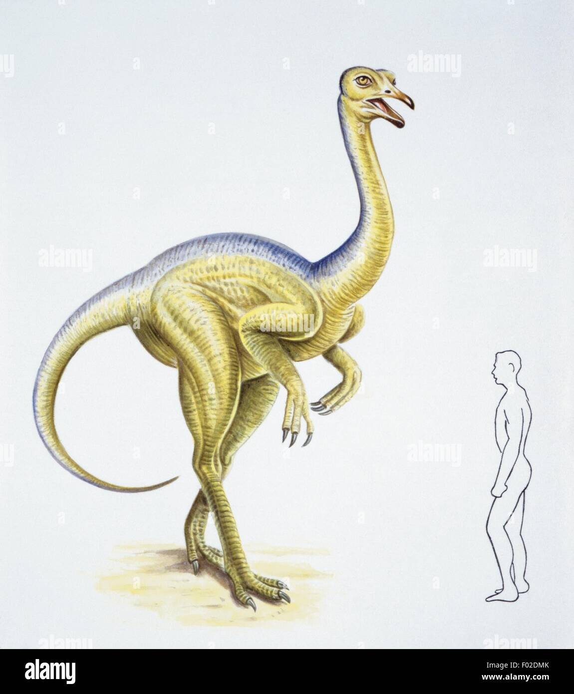 Palaeozoology - Cretaceous period - Dinosaurs - Deinocheirus - Art work Stock Photo