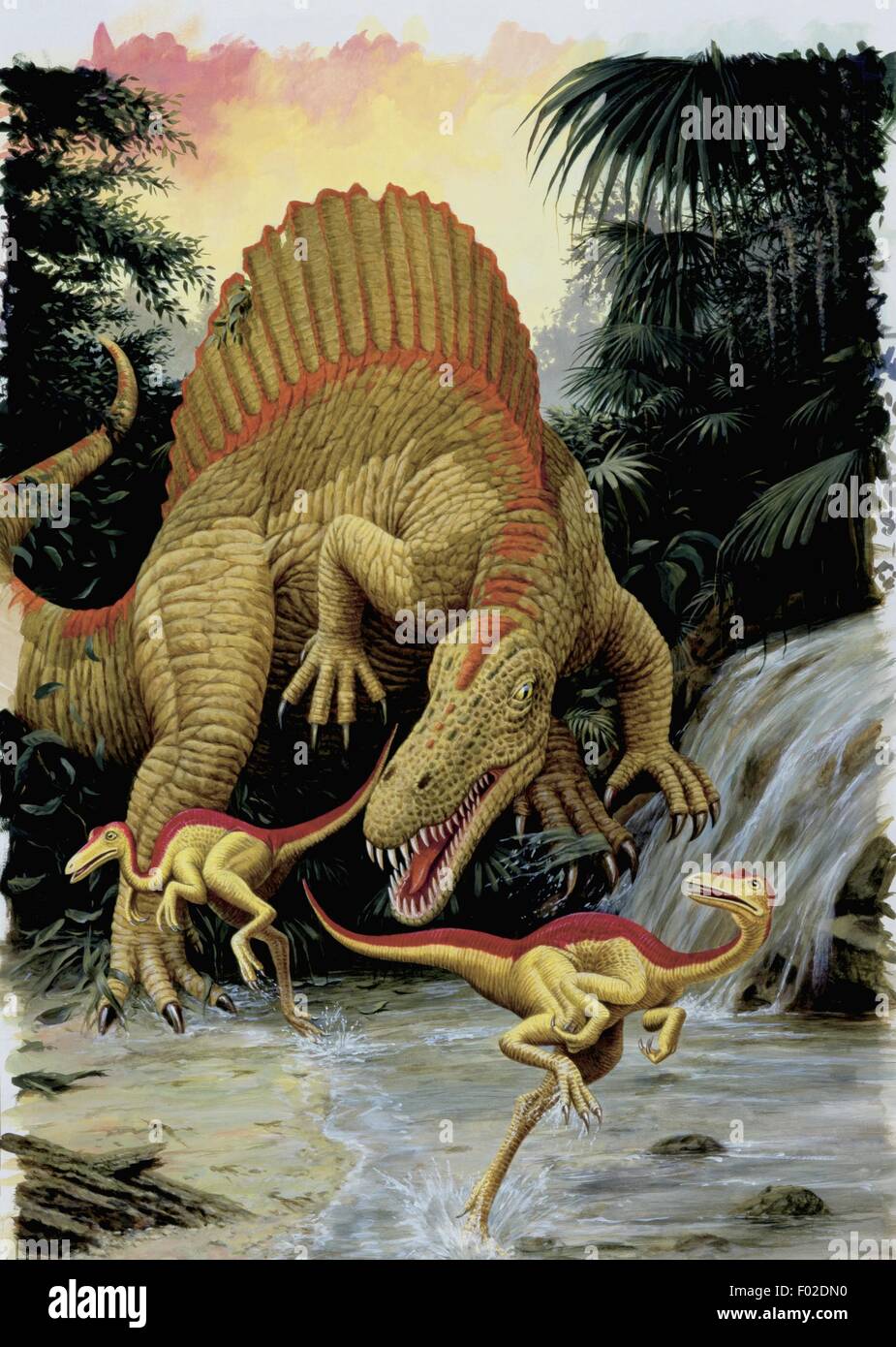 Palaeozoology - Cretaceous Period - Dinosaurs - Spinosaurus (Art work) Stock Photo