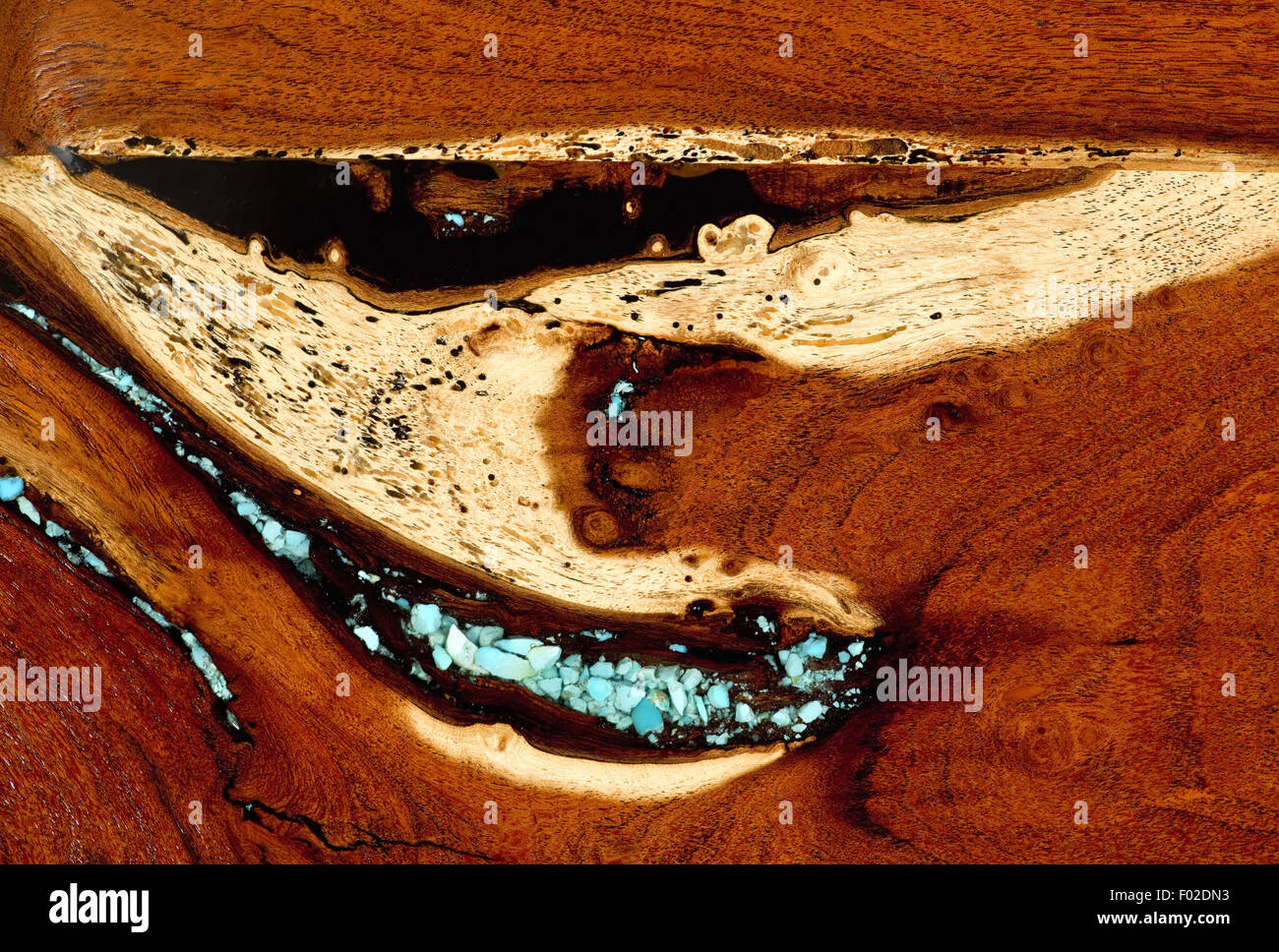 Burled redwood and inset blue turquoise background. Stock Photo